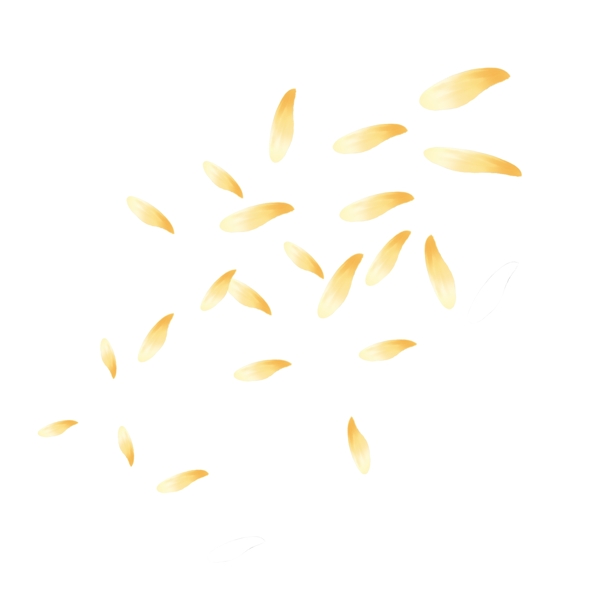 原创免抠黄色漂浮花瓣