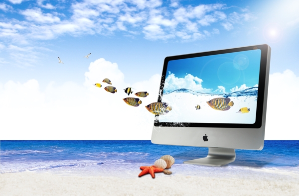 苹果电脑与水纹海鱼
