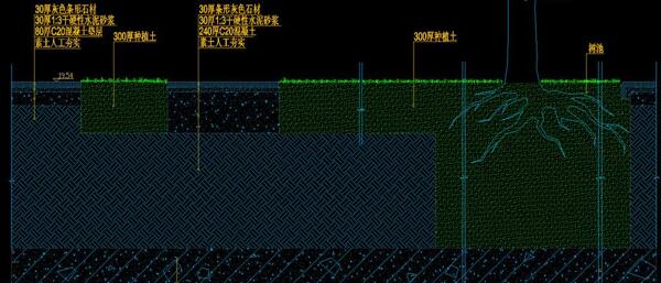 地面铺装间植草及树池剖面图片
