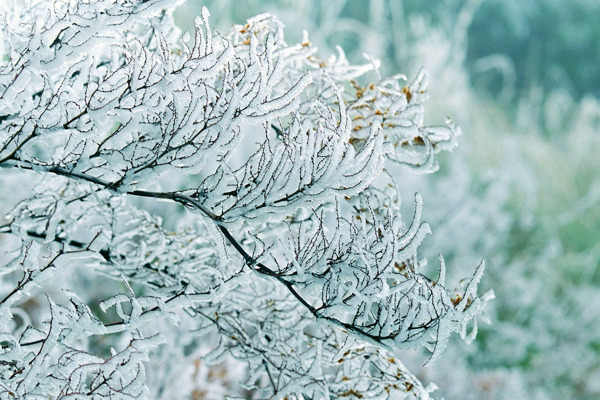 冬天雪景