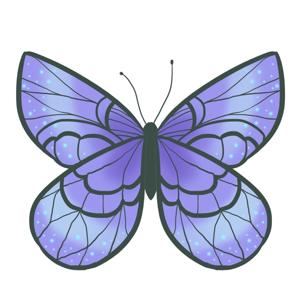 昆虫蝴蝶飞蛾紫色
