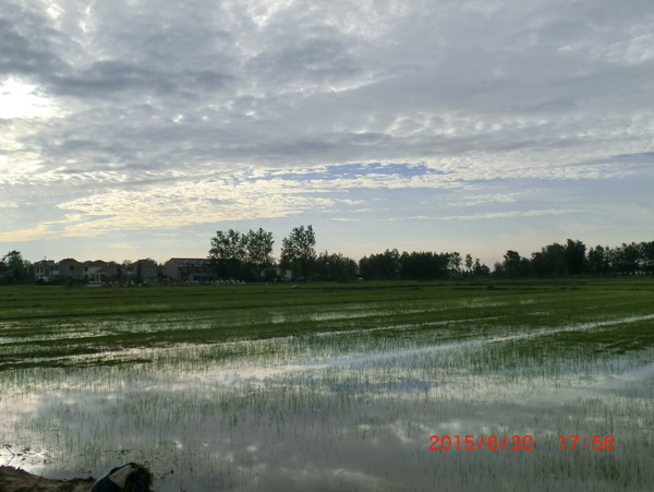 田园风景图片