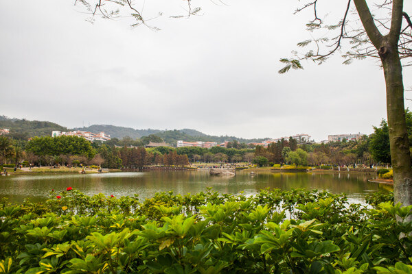 厦门大学图片