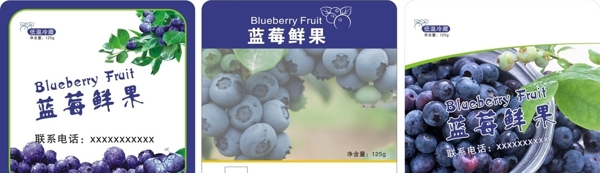 蓝莓标签