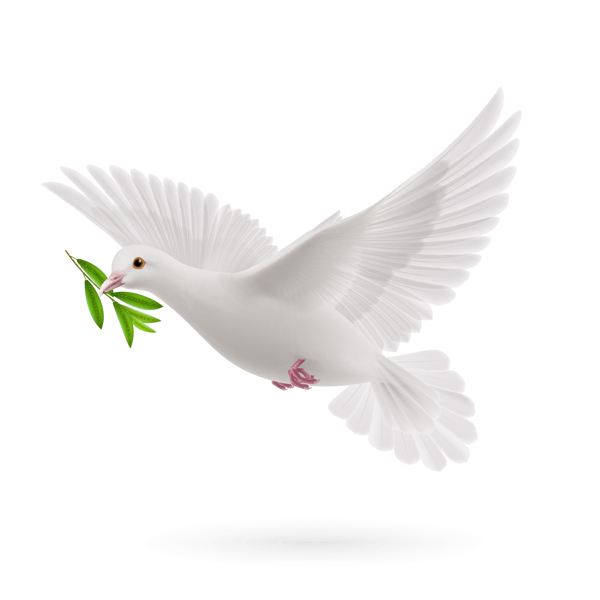 鸽子白色和平公益海报素材