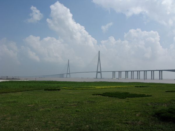 苏通长江大桥图片