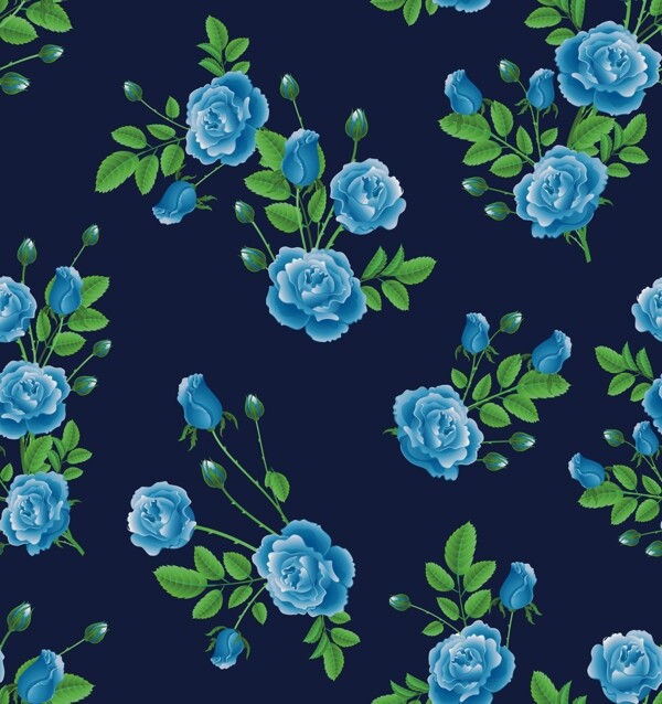 蓝色玫瑰花