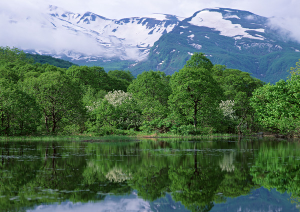 雪山树木湖泊风景图片