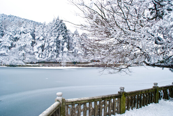 庐山雪景图片