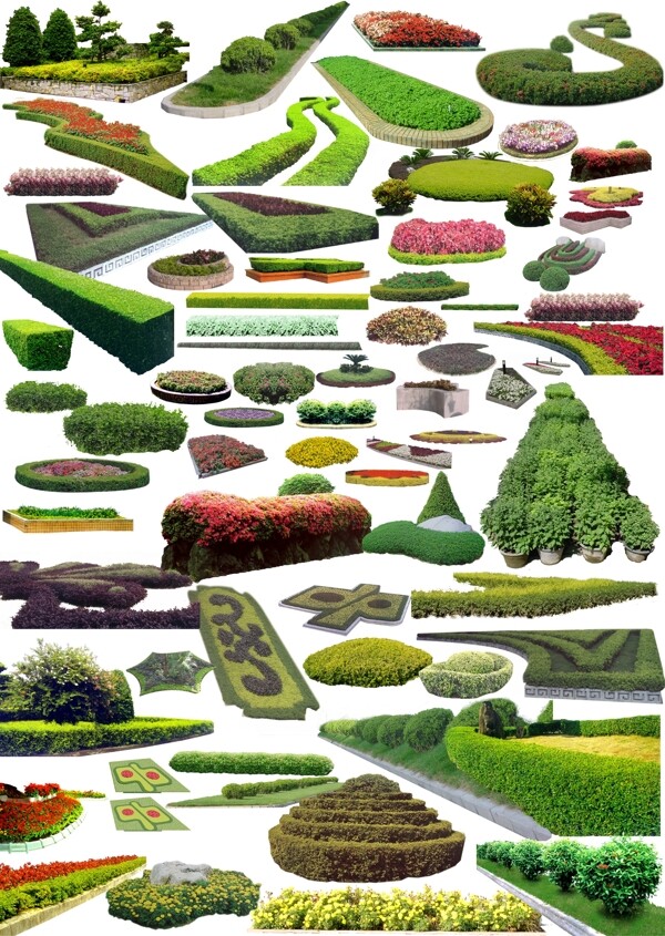 绿化植被图片