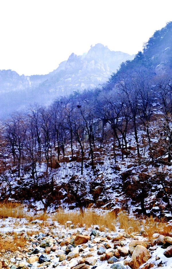 大山雪景图片