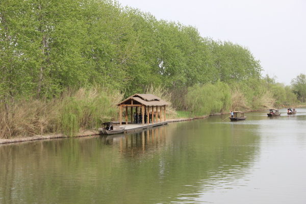 湿地公园图片