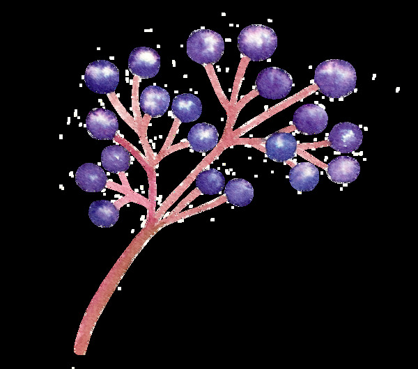 紫色成熟果实卡通透明素材