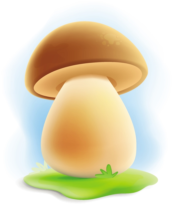 生长在草地上的棕色小蘑菇