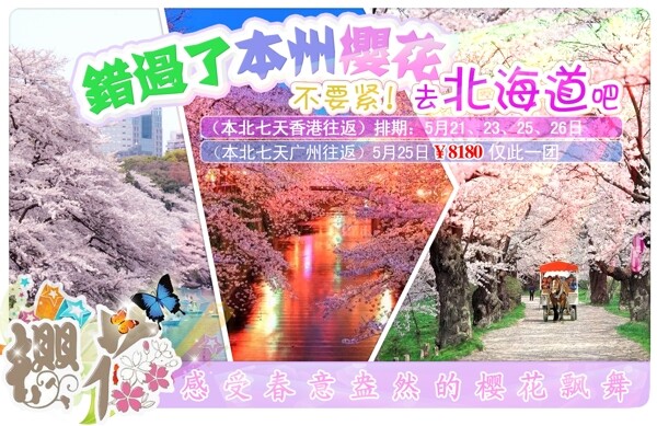 樱花图片banner