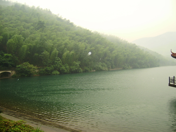 竹海山水图片