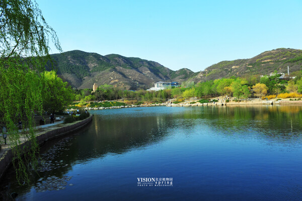 北京植物园春色图片