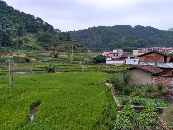 山川的田野