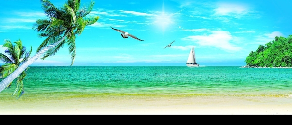 夏日蓝天海滩椰树图片