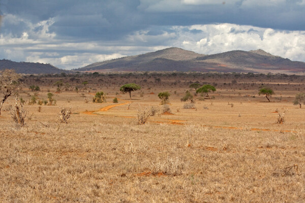 美丽非洲草原景色