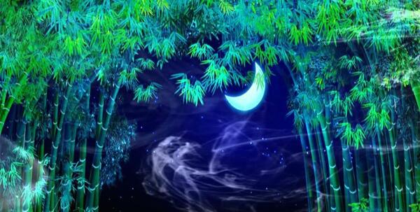 月色竹林动态背景图片