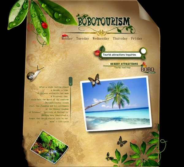 旅游公司网页设计图片