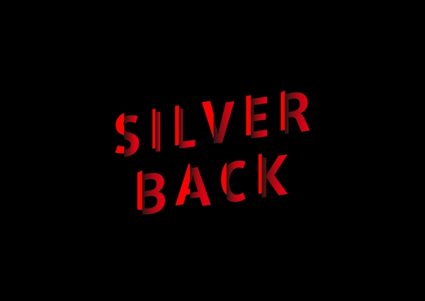 silverback字体质感