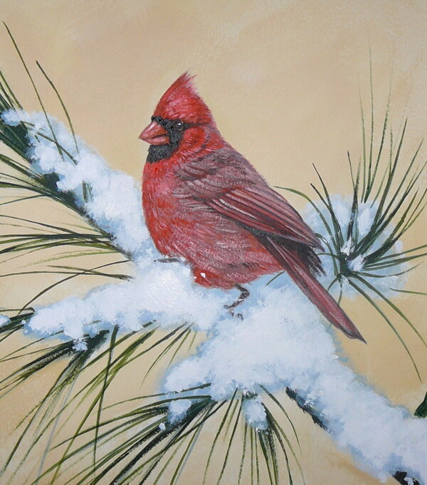 油画之红鸟图片