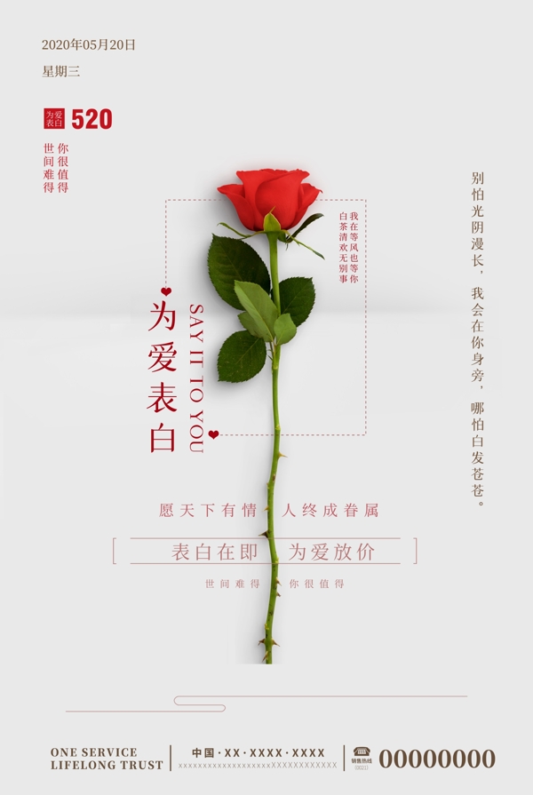 红玫瑰为爱表白浪漫勇敢表达爱