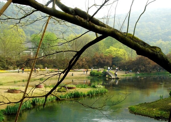 山野美景图片