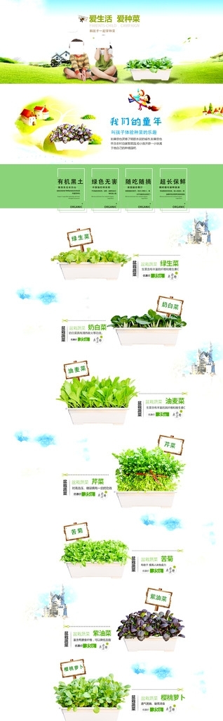 有机盆栽蔬菜活动海报