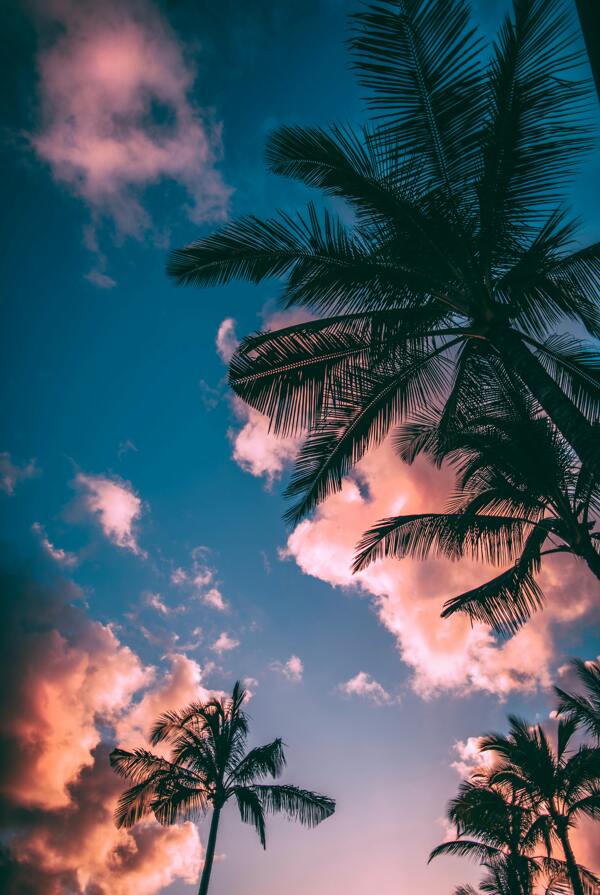 夏威夷图片