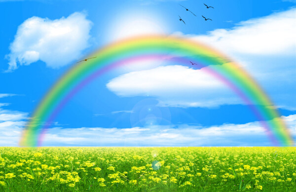 蓝天白云绿野鲜花彩虹图片