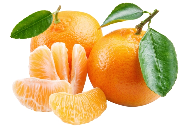 橘子桔子