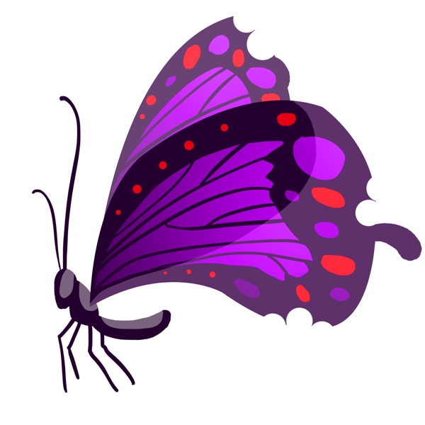 深紫色的烤串蝴蝶插画