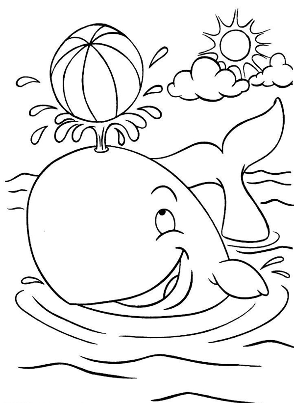 硅藻泥花纹海豚表演
