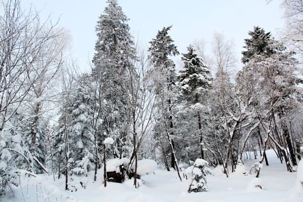 冰雪世界