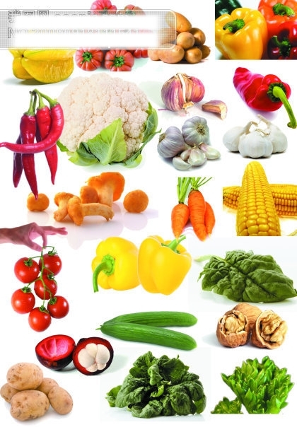 22张高清蔬菜图片素材