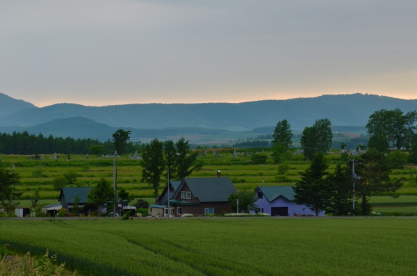 日本北海道富良野风景