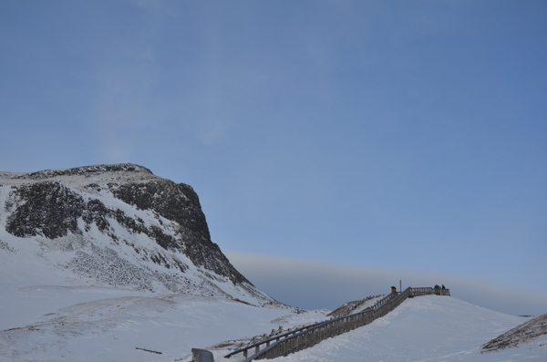 高山雪地图片