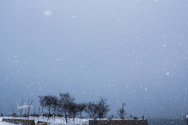 雪景