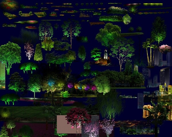 夜景植物图片