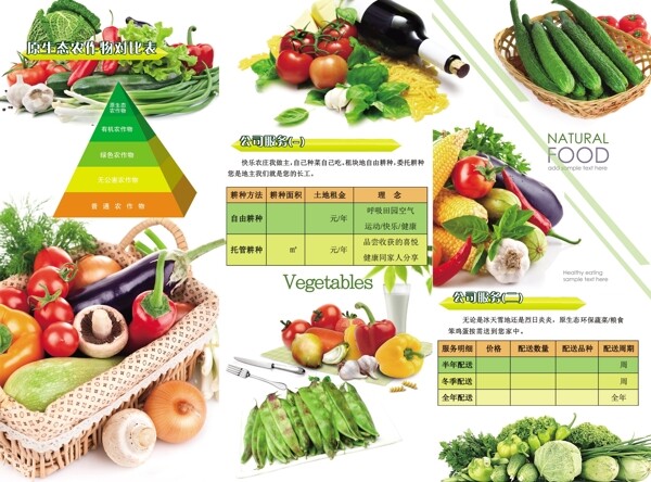 蔬菜种植绿色食品原生态