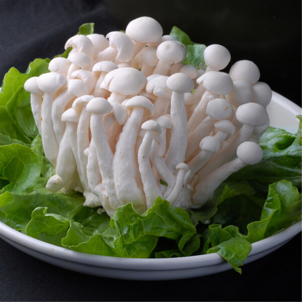 菌白玉菇