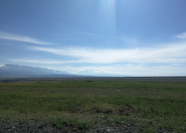 新疆大草原