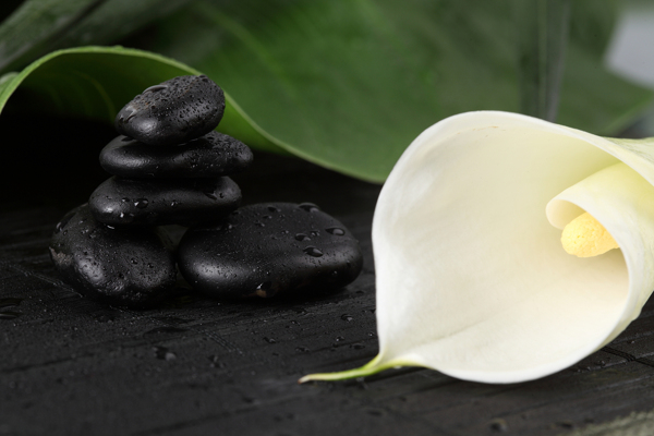 马蹄莲与黑色砭石图片