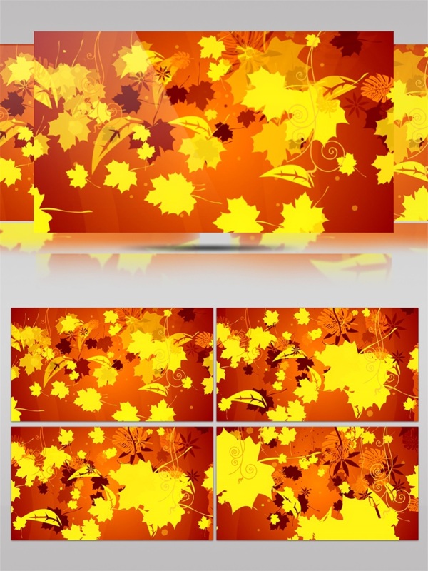 黄色枫叶高清视频素材