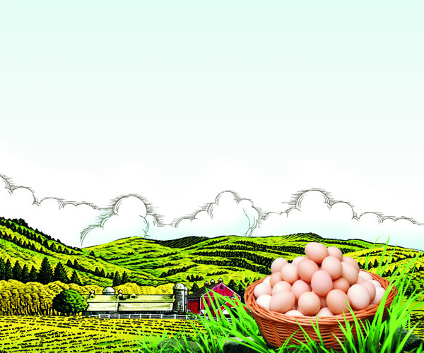 圣迪乐手绘云朵鸡蛋广告素材