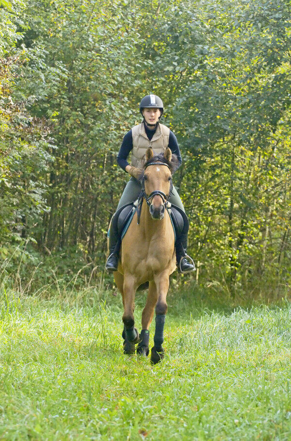 树林旁骑马的女孩图片