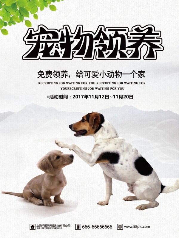 简约中国风宠物收养海报